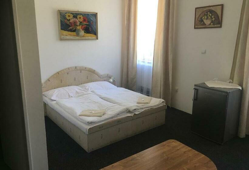 Номер Стандарт, Pension Milštejn