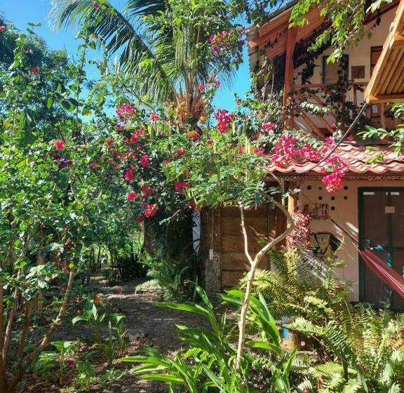 Номер Стандарт Совместная Ванная, La Urraca Loca Hostel