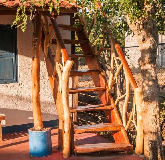 Номер Стандарт Совместная Ванная, La Urraca Loca Hostel