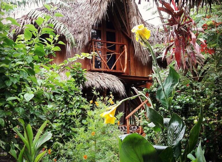 Номер Стандарт, La Urraca Loca Hostel
