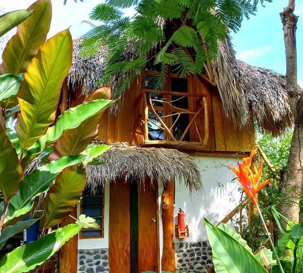 Номер Стандарт, La Urraca Loca Hostel