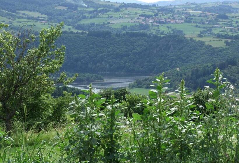 Номер Стандарт, Domaine Des Grands Cèdres