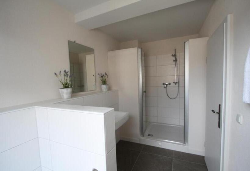 Апартаменты 1 Спальня, Eifelhof Brohl