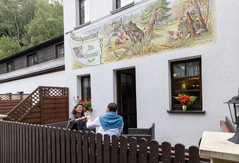 标准间带阳台, Waldgasthof & Hotel Am Sauwald