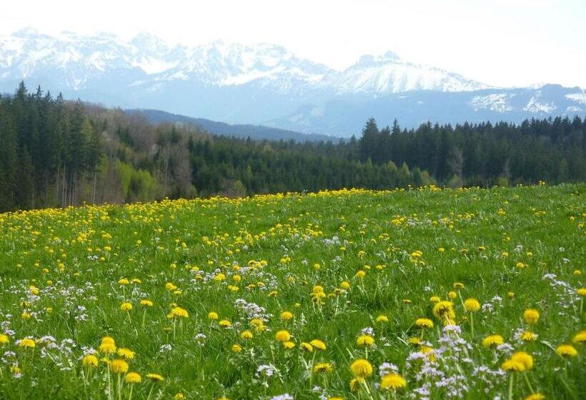 Номер Стандарт с Балконом, Pension Mittelallgäu