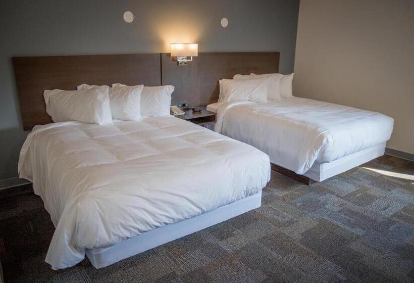 חדר סטנדרט, Bedrock Motel