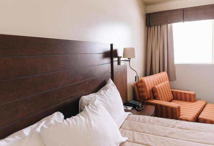 Номер Стандарт, Motel Mistral
