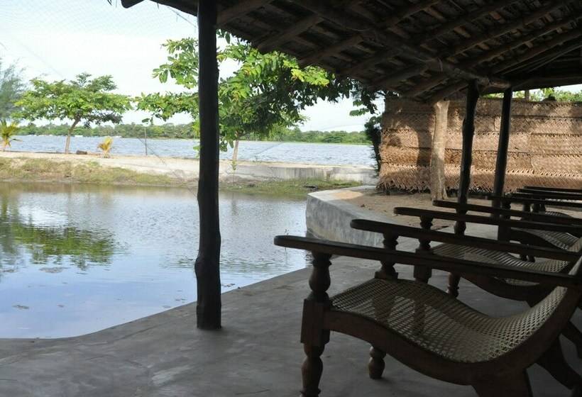 كابينة, The Cove Pasikuda