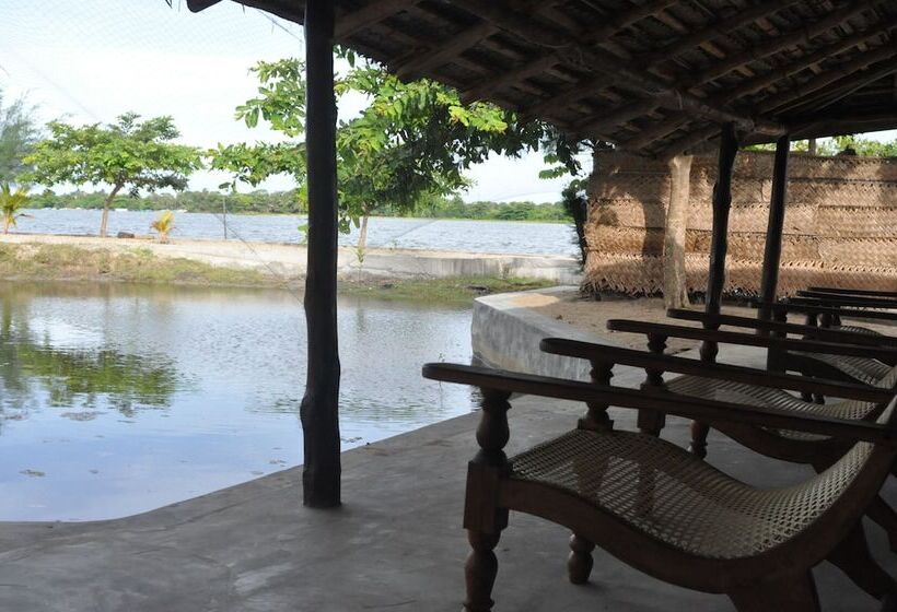 كابينة, The Cove Pasikuda