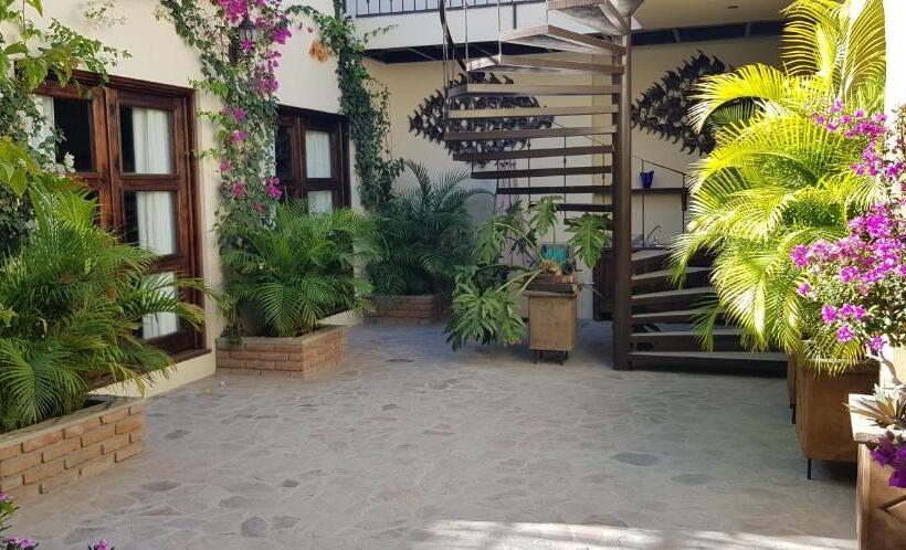 ジュニアスイート, Posada De Las Flores La Paz