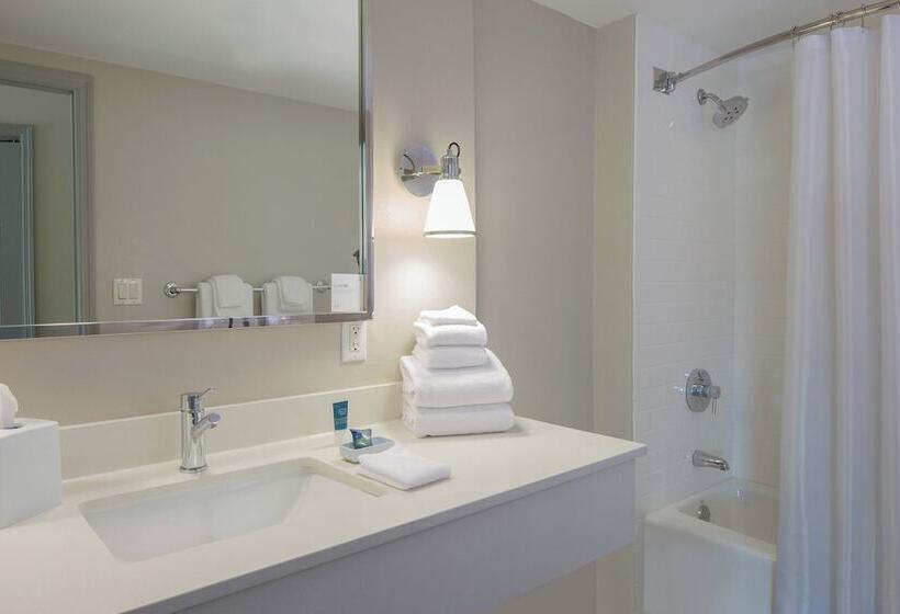 带2个双人床的标准工作室, Four Points By Sheraton Orlando International Drive