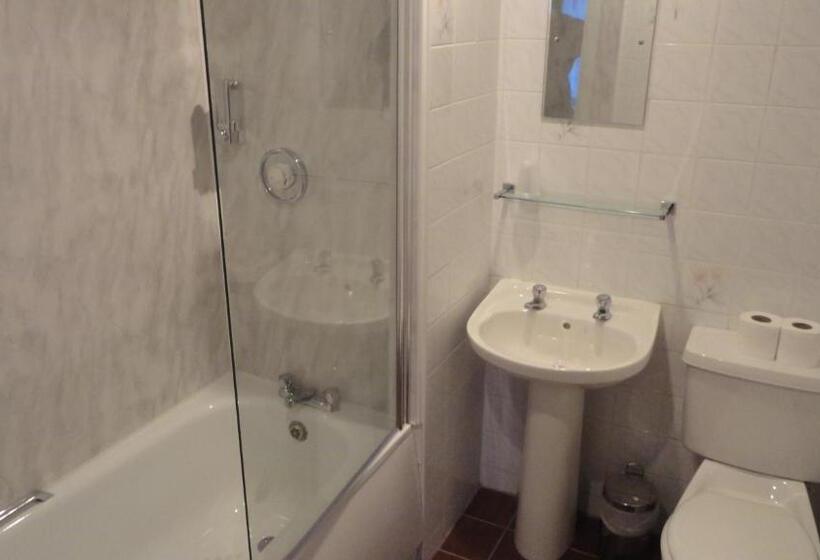 اتاق یک نفره پایه با سرویس بهداشتی مشترک, Sandyford Lodge