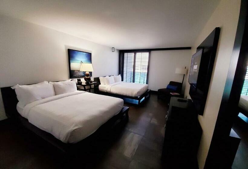 Номер Стандарт Вид на Сад, Tideline Palm Beach Ocean Resort And Spa