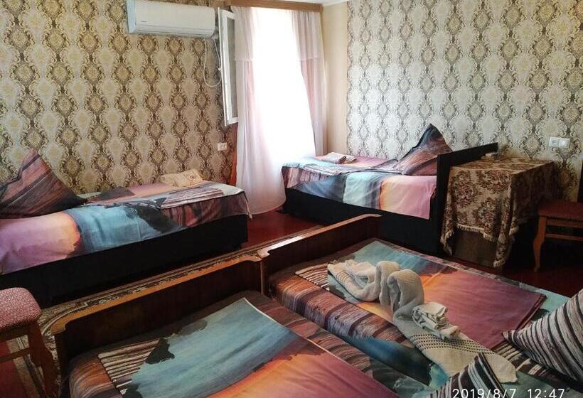 اتاق اکونومی, Downtown Guest House
