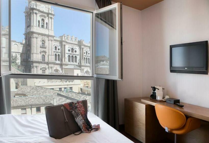 اتاق استاندارد با چشم‌انداز, Petit Palace Plaza Malaga