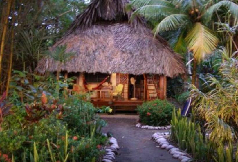 Бунгало Стандарт, Cabinas Los Cocos