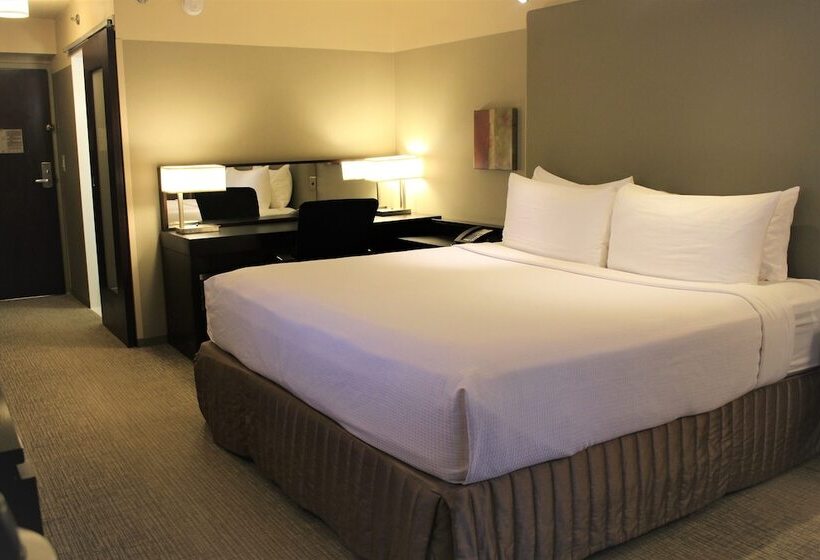 Quarto standart cama de casal, Crowne Plaza   Chicago West Loop, An Ihg