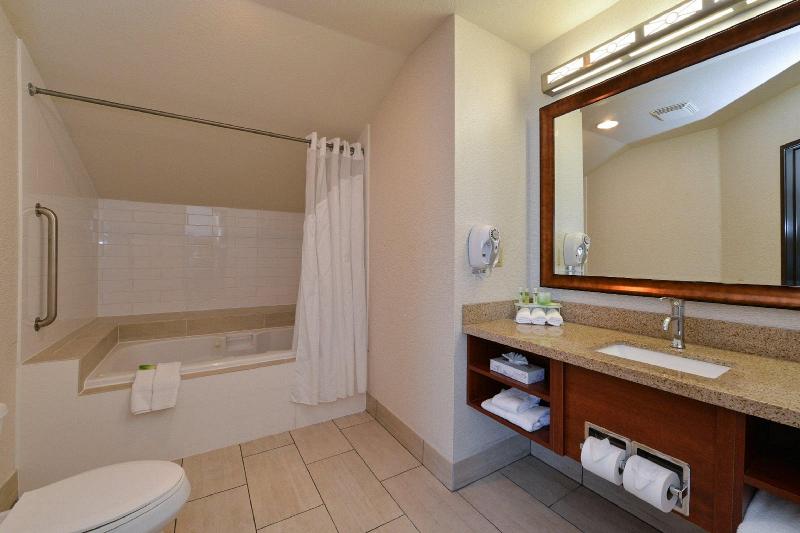 Suite Cama King, Holiday Inn Express Berkeley, An Ihg