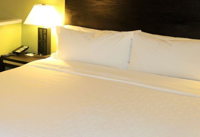 Quarto standard, Holiday Inn Express Berkeley, An Ihg