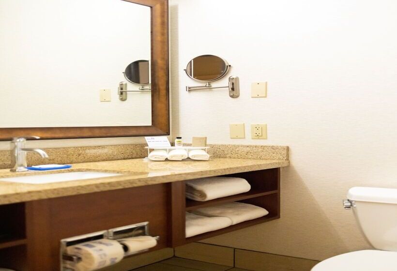 Suite, Holiday Inn Express Berkeley, An Ihg