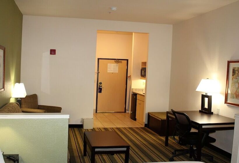 Suite, Holiday Inn Express Berkeley, An Ihg