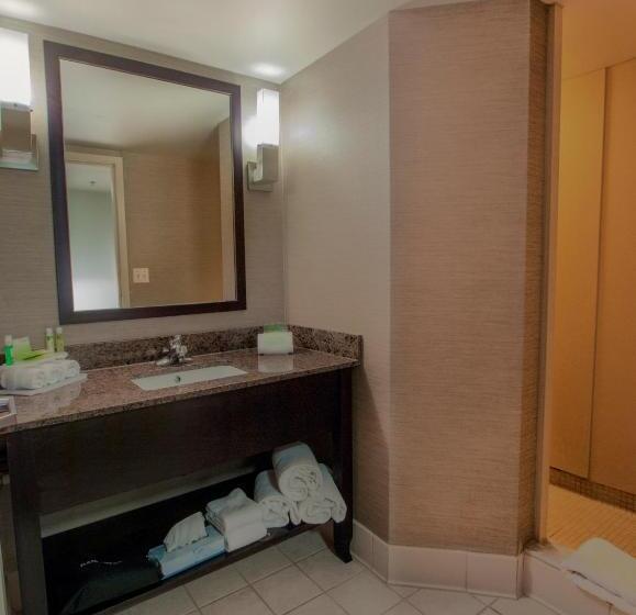 Люкс Кровать Кинг, Holiday Inn Express & Suites Buffalo Airport, An Ihg
