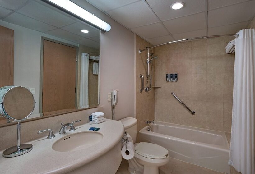 اتاق لوکس, Four Points By Sheraton Galerias Monterrey