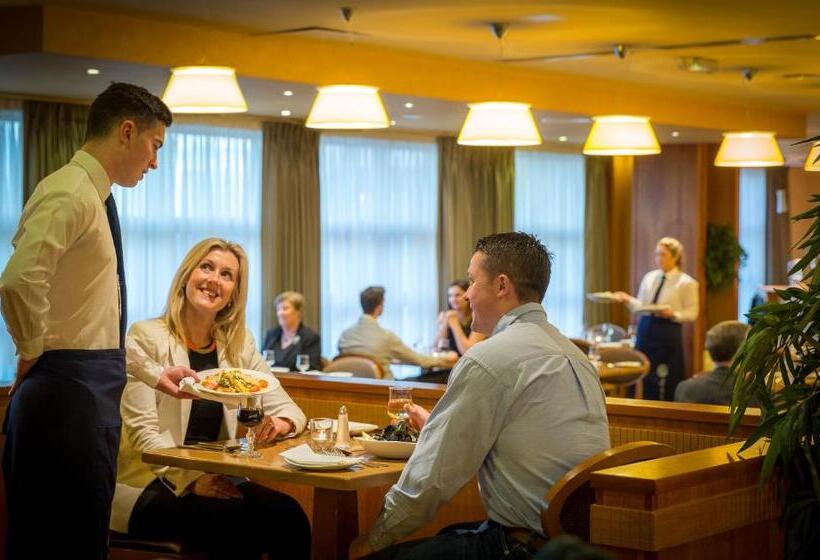 带大床的标准间, Maldron Hotel & Leisure Centre Limerick