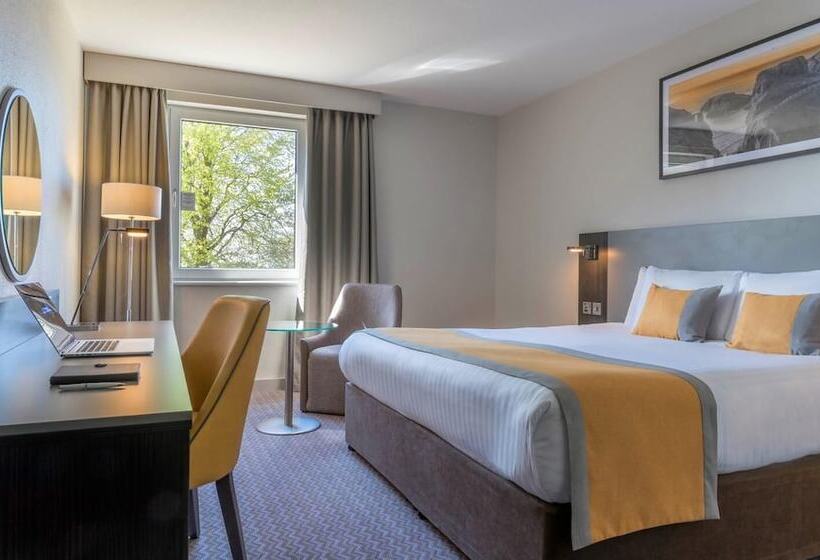 带大床的标准间, Maldron Hotel & Leisure Centre Limerick