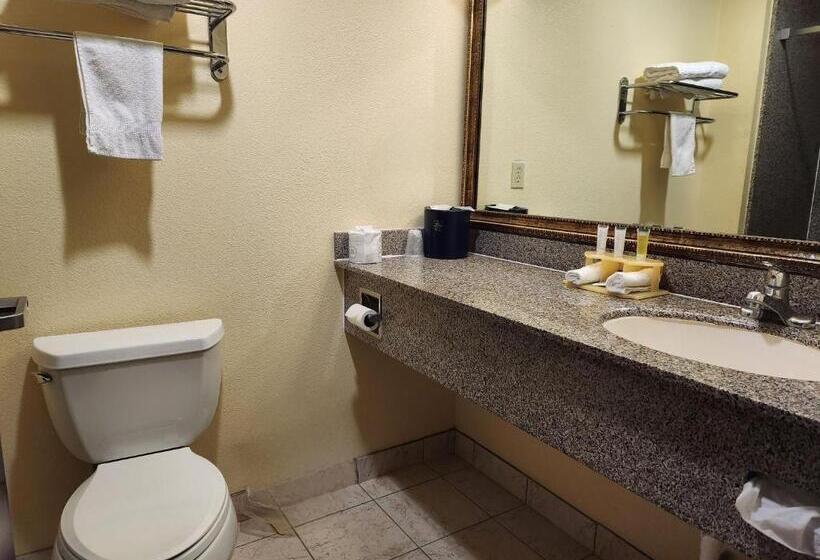 Люкс Адаптированный для Инвалидов, Days Inn & Suites By Wyndham Sam Houston Tollway