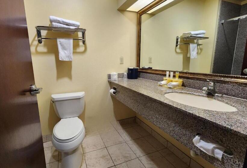 Стандартный Номер Кровать Кинг, Days Inn & Suites By Wyndham Sam Houston Tollway