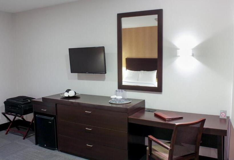 스탠다드 룸, Trinitarias Suites