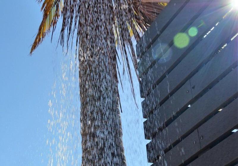 수피리어 전망 룸, Rac Monkey Mia Dolphin Resort