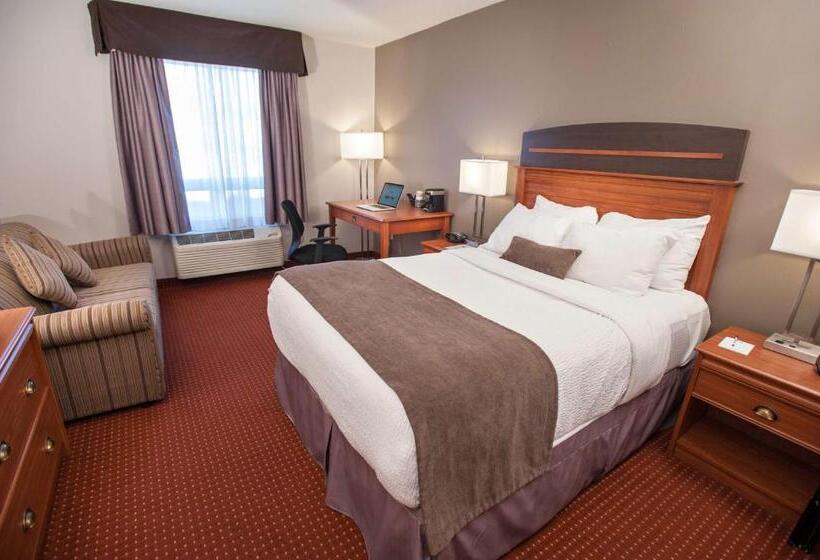 身障者適用スタンダードルーム, Best Western Plus Moncton