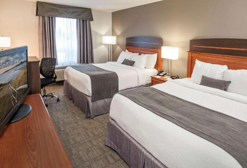 اتاق استاندارد, Best Western Plus Moncton