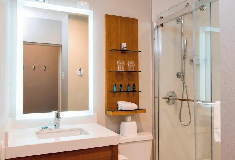 Standard-huone 2 Parivuodetta, Sonesta Hotel Grand Rapids Airport