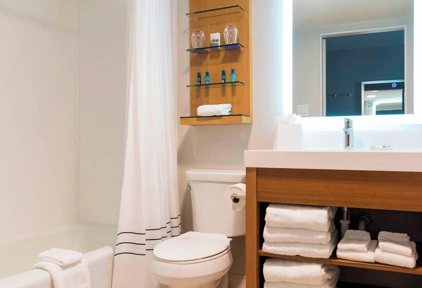 Номер Стандарт 2 Двуспальные Кровати, Sonesta Hotel Grand Rapids Airport