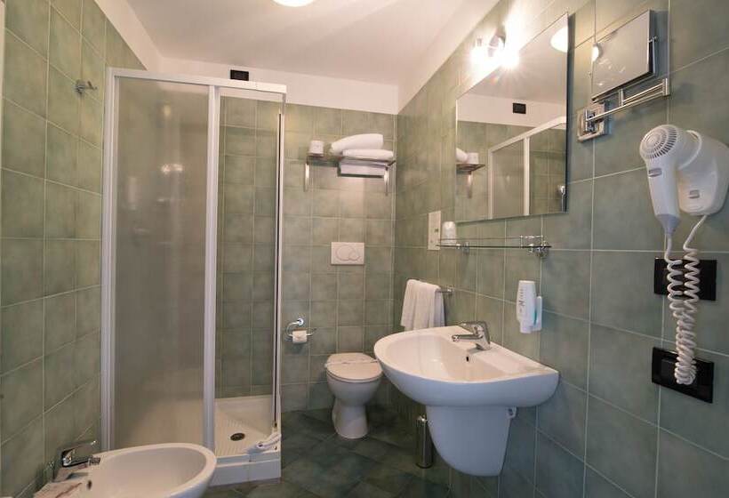스탠다드 싱글 룸, Green Class Hotel Candiolo