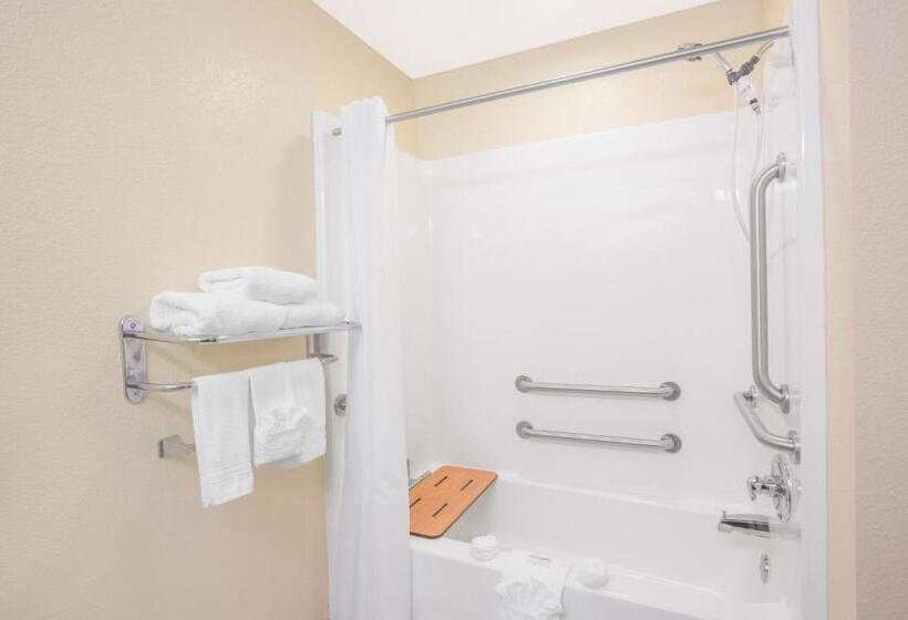 장애인을 위한 스탠다드 룸, Microtel Inn & Suites By Wyndham Albertville