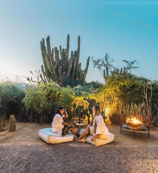 キングサイズベッドのスイートルーム, Paradero Todos Santos   Exclusive Experiences Included