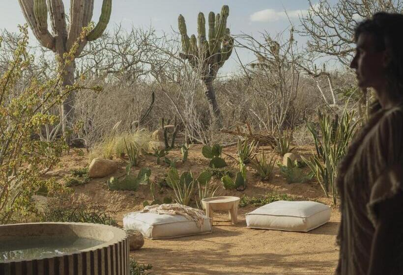 キングサイズベッドのスイートルーム, Paradero Todos Santos   Exclusive Experiences Included