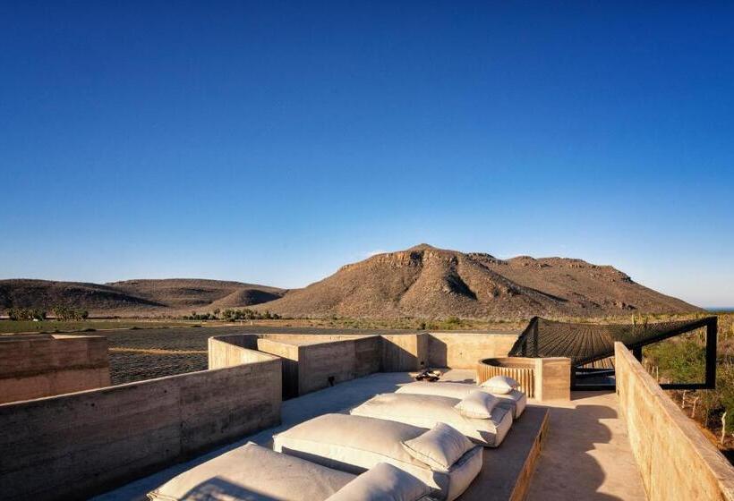 マスタールーム, Paradero Todos Santos   Exclusive Experiences Included