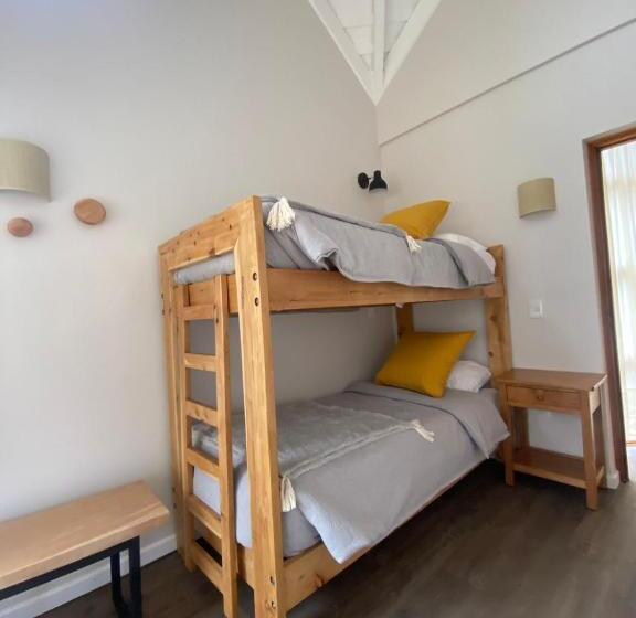 스탠다드 방갈로 침실 2개, Paihuen  Resort De Montaña