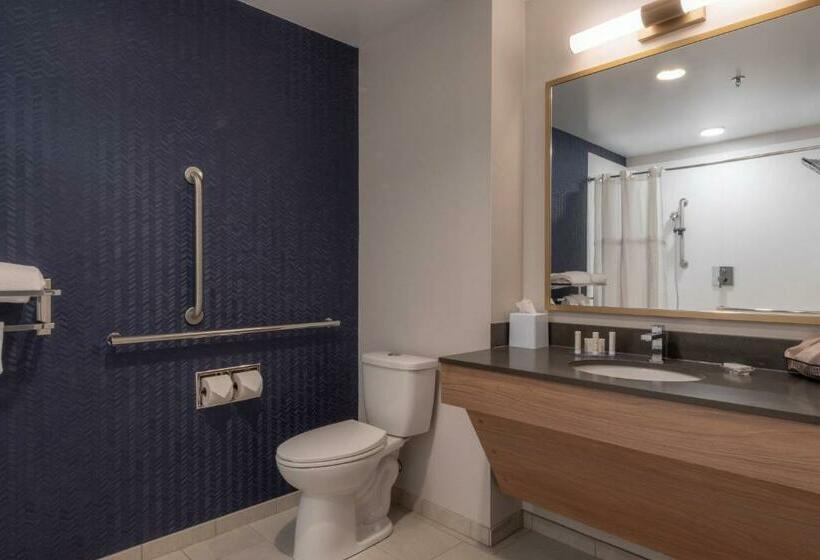 غرفة قياسية سرير كينج, Fairfield By Marriott Inn & Suites Revelstoke