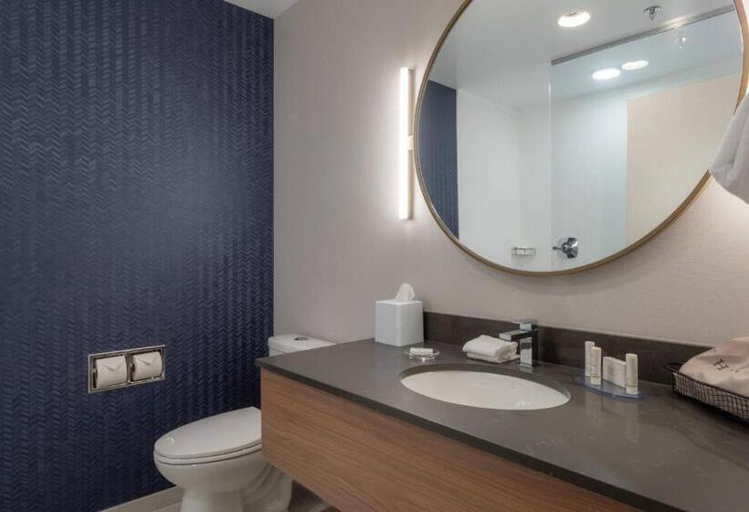جناح سرير ملكى, Fairfield By Marriott Inn & Suites Revelstoke