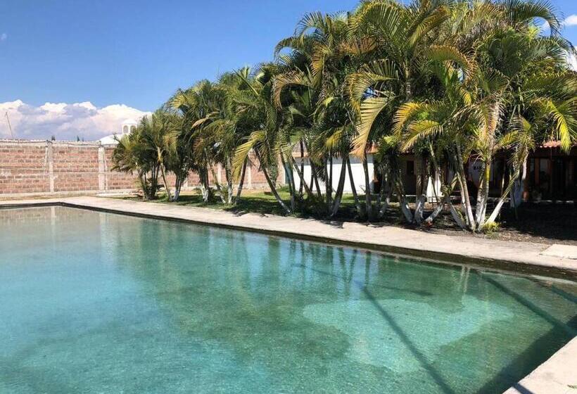 ファミリールーム, Room In Guest Room   Lodging And Camping The Island