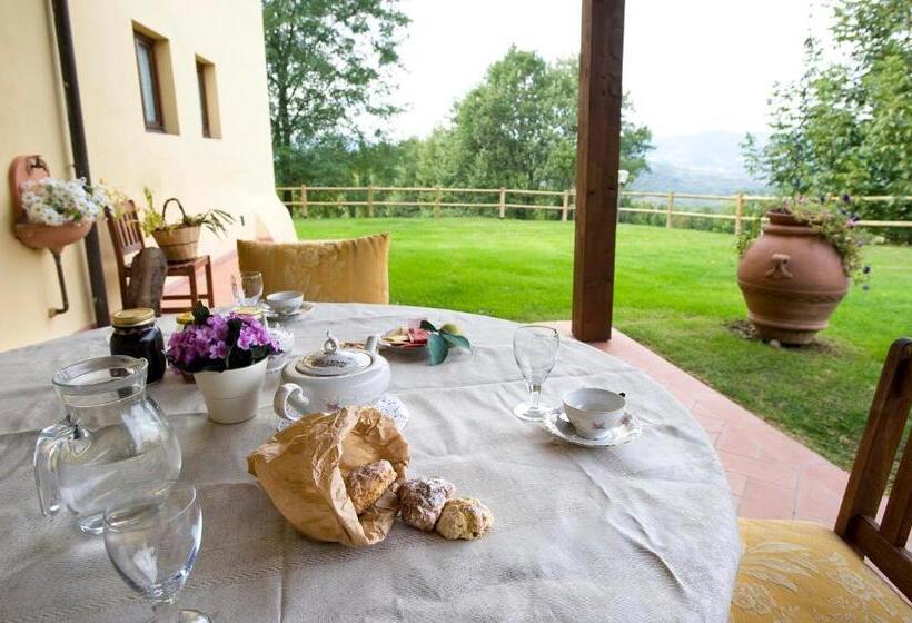 Апартаменты 1 Спальня Вид на Сад, Agriturismo Petrognano