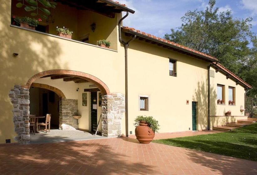 Апартаменты 1 Спальня с Террасой, Agriturismo Petrognano