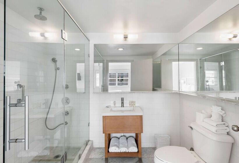 חדר פנטהאוז, Townhouse  Miami