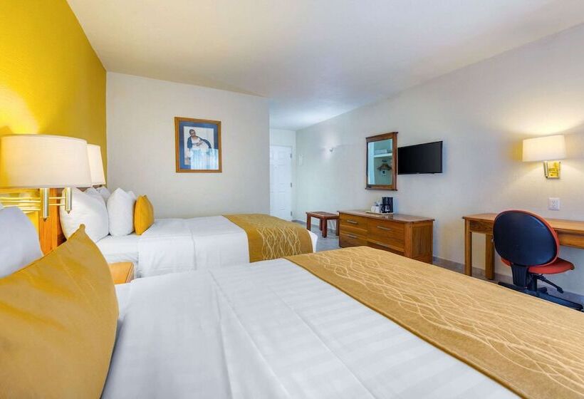 اتاق استاندارد با 2 تخت دوبل, Comfort Inn Tampico